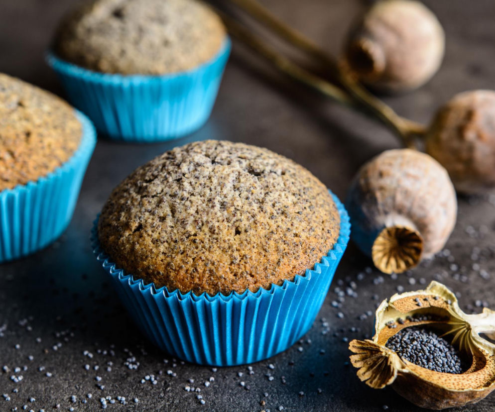 Muffinki z makiem: pieguski. Dobry przepis