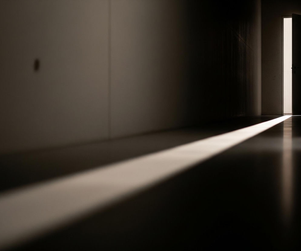 Wąski pas jasnego światła rozciąga się od lewego dolnego rogu do prawego górnego rogu ciemnego korytarza. Światło pochodzi z otwartych drzwi, które są widoczne na końcu korytarza, po prawej stronie. Większość powierzchni ściany po lewej stronie jest w cieniu, z jednym ciemnym punktem w środkowej części. Podłoga korytarza jest ciemna i odbija światło w kilku miejscach, tworząc jaśniejsze smugi.