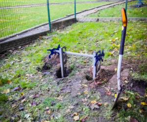 W Szczecinie powstaje wybieg dla małych psów