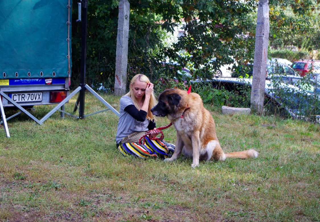 II Piknik na 4 Łapach