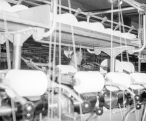 Przędzalnia czesankowa Wel-Tex we Wrocławiu (1966 r.)