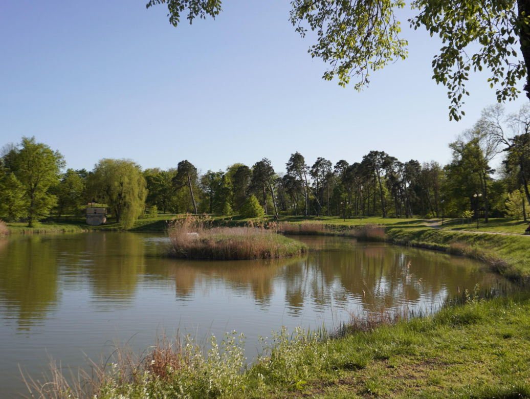 Park miejski w Opolu Lubelskim