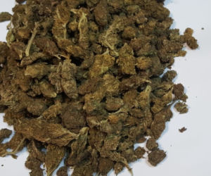 Amfetamina i marihuana w posiadaniu 36-latka