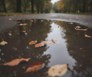 Weekend w Wrocławiu przyniesie dużą zmianę. Jeden dzień może pokrzyżować plany