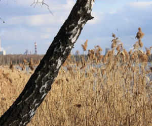 Pływająca kawiarnia w wesołym miasteczku. Jak dzisiaj wygląda Arizona? 