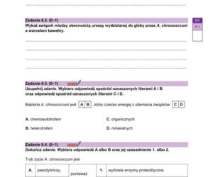 Arkusze matura próbna z biologii 14.01.2026