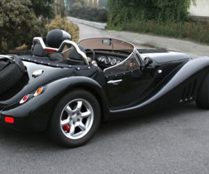 Leopard Automobile