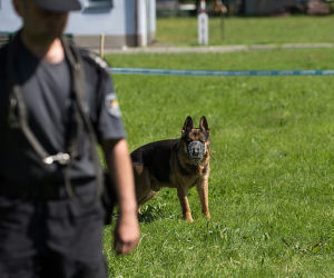Turniej psów policyjnych w Zaczerniu koło Rzeszowa