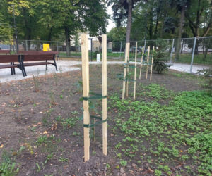 Pierwsza tężnia solankowa w Lesznie prawie gotowa. Kiedy otwarcie?