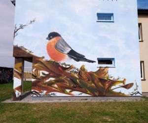 Nowy mural w mieście! Czerwony gil ozdobił ścianę budynku przy ul. Mieszka I w Siedlcach