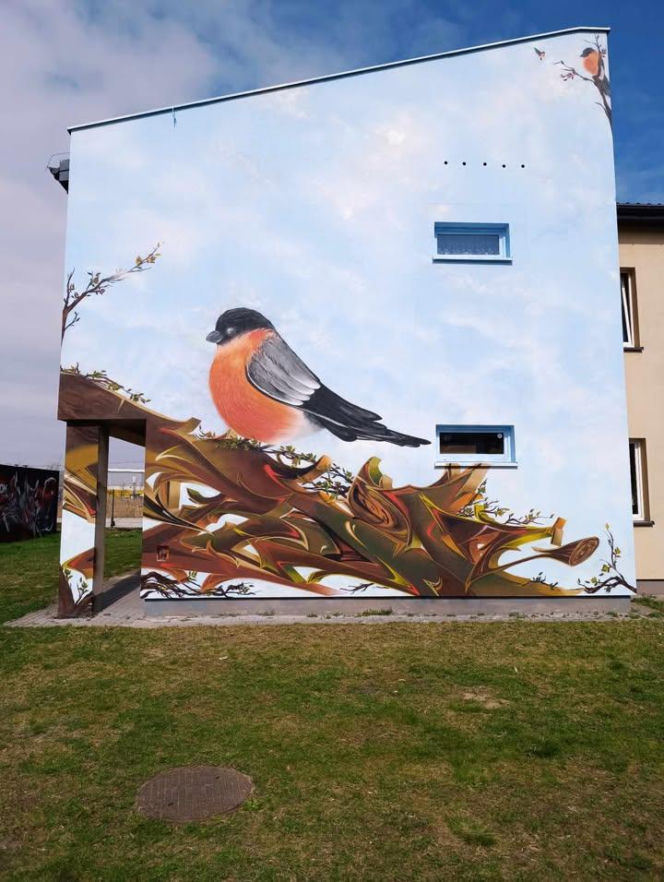 Nowy mural w mieście! Czerwony gil ozdobił ścianę budynku przy ul. Mieszka I w Siedlcach