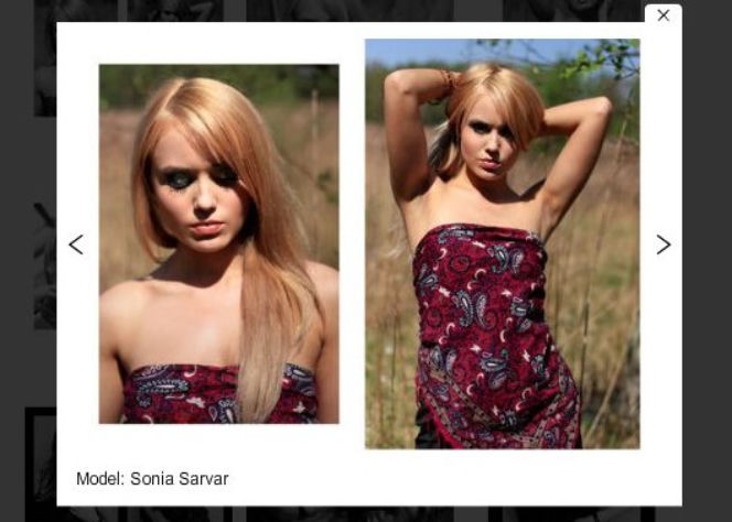Sonia Sarvar