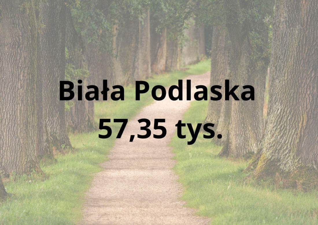 Te powiaty w woj. lubelskim są najmniej zaludnione. Gdzie mieszka najmniej osób? Sprawdź!