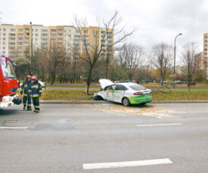 kierowca zasłabł na drzewie