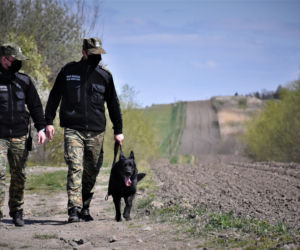 Zwierzęta w Bieszczadzkim Oddziale Straży Granicznej 