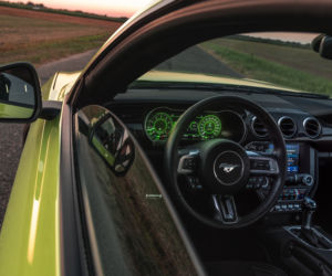 Ford Mustang GT 5.0 V8 55 Edition