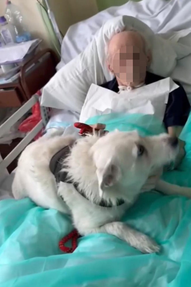 Legnica. Suczka Saba nie widziała właściciela przez 6 miesięcy. Odwiedziła go w szpitalu [ZDJĘCIA].