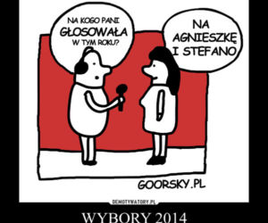 Wybory Samorządowe 2014. Zobacz najlepsze MEMY. Internauci wyśmiewają PKW
