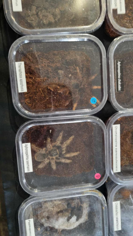 Targi Exotic Fest odbyły się w Poznaniu