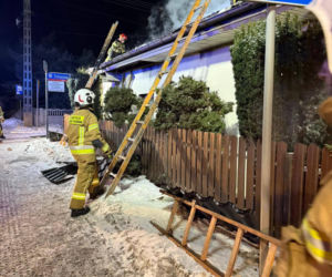 Druh Tymek wyniósł kota z płonącego domu. „Być może nie udałoby się go uratować”