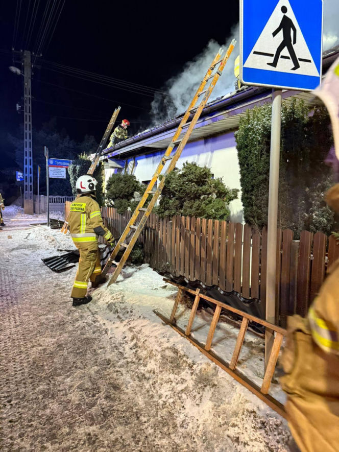 Druh Tymek wyniósł kota z płonącego domu. „Być może nie udałoby się go uratować”