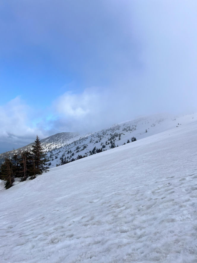 Śnieżne Kotły Karkonosze