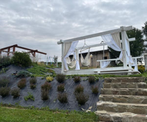 Remont drewnianej chaty w Bełdnie