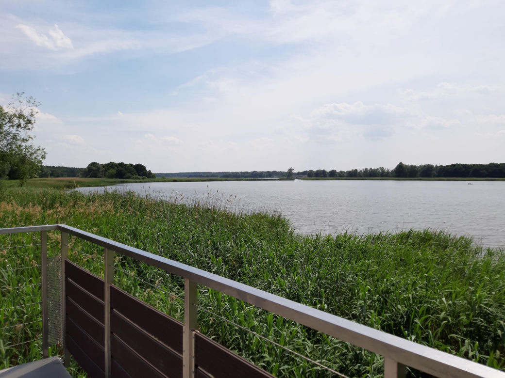Jezioro Łoniewski. Wielkopolski raj dla wędkarzy