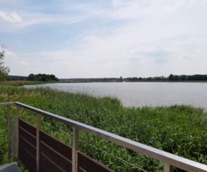 Jezioro Łoniewski. Wielkopolski raj dla wędkarzy