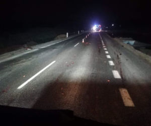 Samochód wjechał w stado dzików