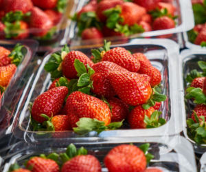 Pierwsze polskie truskawki trafiły do sklepów. Różnią się od importowanych kluczowymi szczegółami