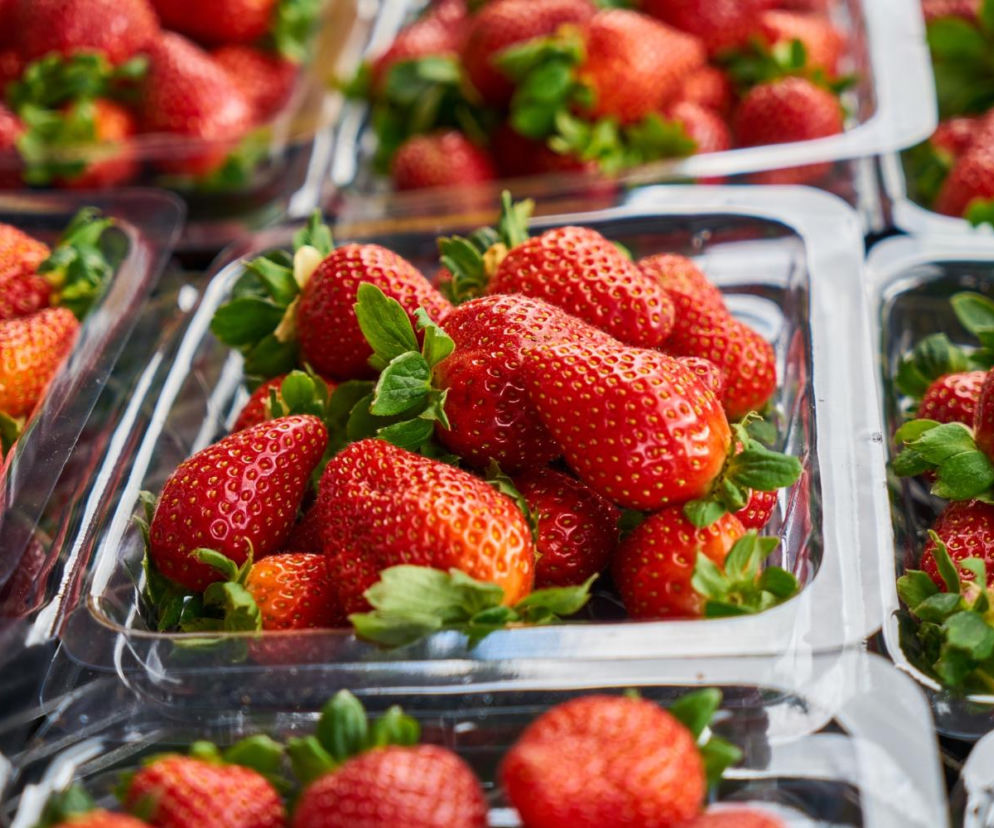 Pierwsze polskie truskawki już są w sklepach. Tak odróżnisz je od tych importowanych z zagranicy