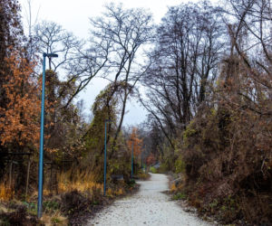 Park Akcji Burza w jesiennej odsłonie