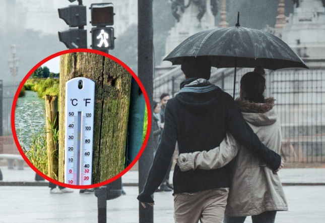 Takiego lipca nie było od prawie dwóch dekad! IMGW pokazuje zaskakujące dane