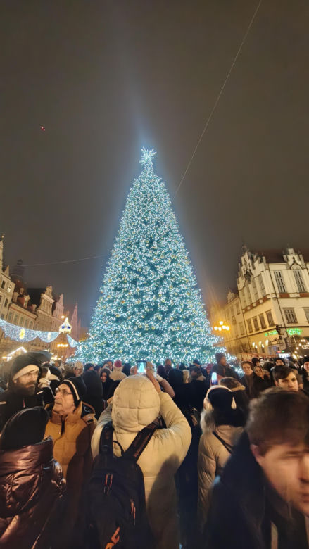 Największa choinka we Wrocławiu już rozświetlona! Tłumy powitały Świętego Mikołaja 
