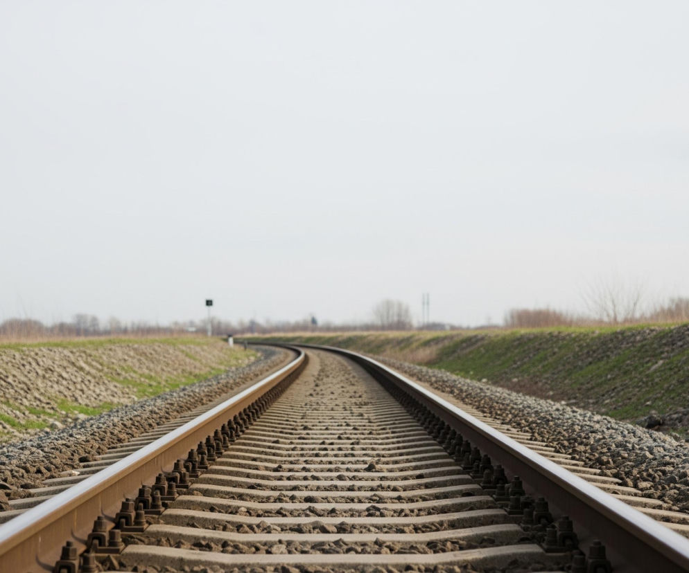 Tor kolejowy z dwiema stalowymi szynami biegnie przez środek kadru, lekko zakręcając w prawo w oddali. Szyny ułożone są na drewnianych lub betonowych podkładach, otoczonych drobnymi kamieniami, tworzącymi ballast. Po obu stronach toru znajdują się zielone, trawiaste zbocza usypane z większych kamieni, na których sporadycznie widać kępy trawy. Horyzont dominuje jasne, niemal białe niebo, a w tle widać rozmazane drzewa i niewyraźne zabudowania przemysłowe po lewej stronie.