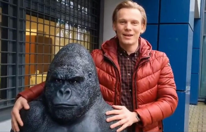 Skradziony goryl przejechał 50 km w bagażniku! Płocka policja odzyskała niezwykłą "zdobycz"