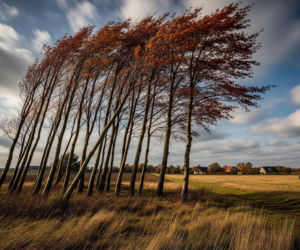 Silny wiatr w Polsce. Jak długo potrwa zagrożenie w twoim regionie?