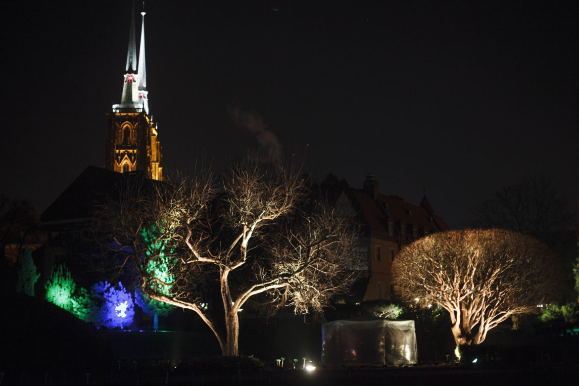 Lasery, muzyka i kolorowe iluminacje w Ogrodzie Botanicznym we Wrocławiu