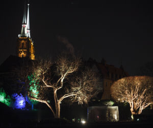 Lasery, muzyka i kolorowe iluminacje w Ogrodzie Botanicznym we Wrocławiu