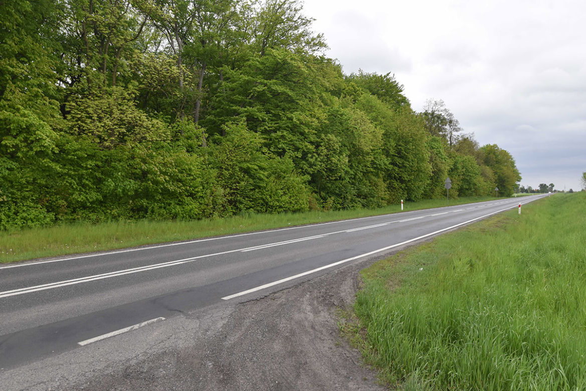 Rozjechał motocyklistę, powiesił się w lesie