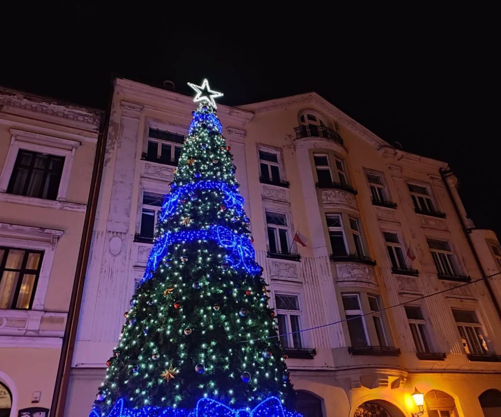 Tarnów. Świąteczna iluminacja już rozbłysła. Tak wygląda choinka na pl. Kazimierza