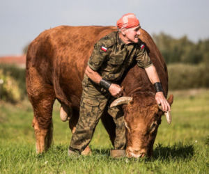 Zaklinacz Byków walczy o rodzinny majątek. Gospodarstwo rolnika może pójść pod młotek