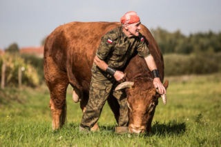 Zaklinacz Byków walczy o rodzinny majątek. Gospodarstwo rolnika może pójść pod młotek