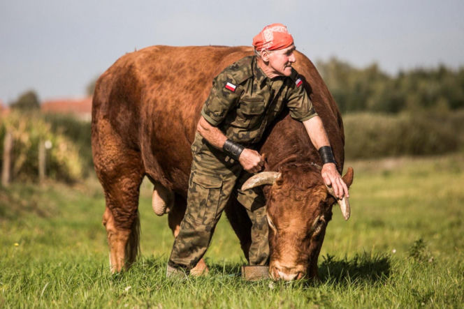 Czy znany "zaklinacz byków" straci swoje ranczo?
