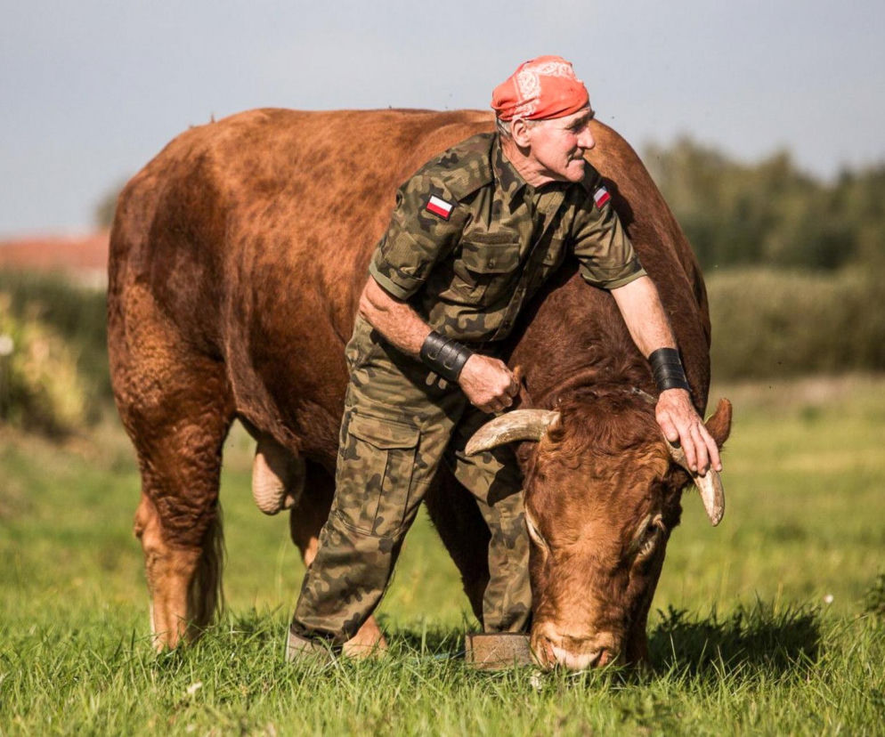 Zaklinacz Byków walczy o rodzinny majątek. Gospodarstwo rolnika może pójść pod młotek