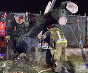 Powalone drzewa i awarie prądu w części województwa