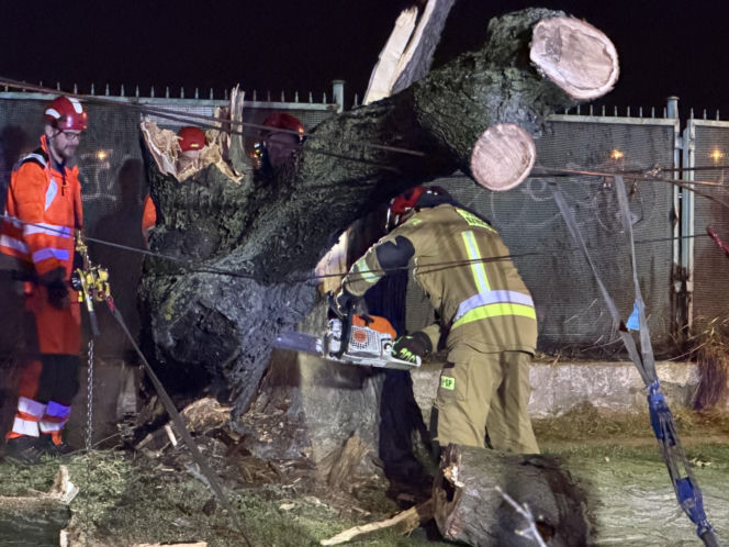 Powalone drzewa i awarie prądu w części województwa