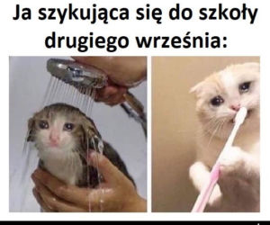 Memy o szkole 2020. Nauka u dobie koronawirusa. Żarty z nowej sytuacji 