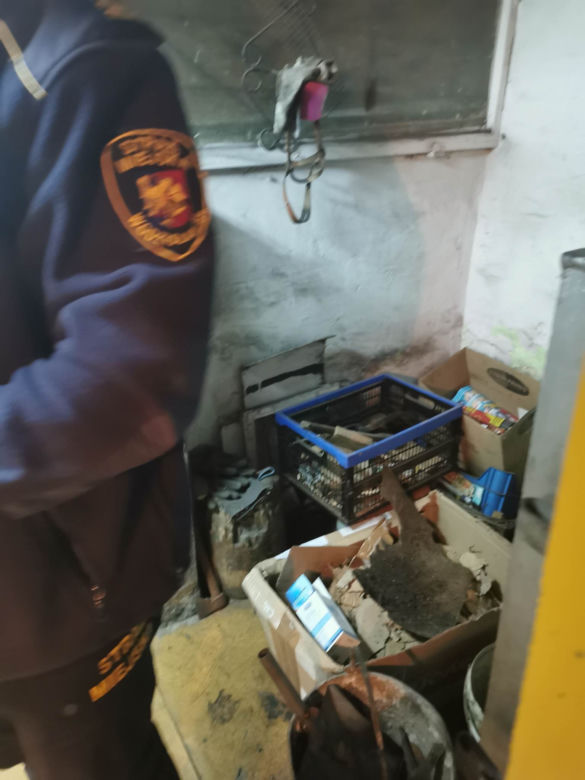 Skrajnie zaniedbane i wychodzone psy odebrano właścicielom. "Tak wychodzuonego psa, jeszcze nie widzieliśmy"